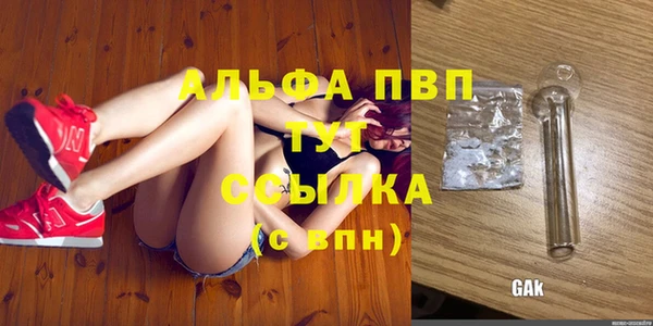 индика Мегион