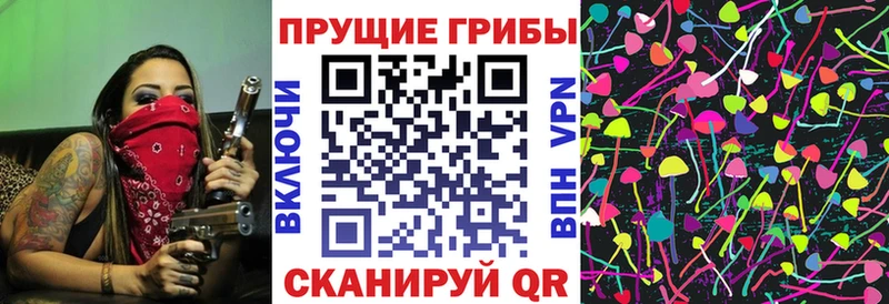 Псилоцибиновые грибы Psilocybe  Нижние Серги 